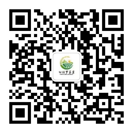 和政县罗家集镇人民政府