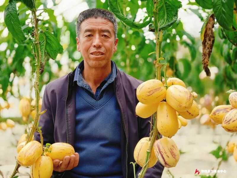 微信图片_20250325094229.jpg